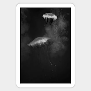 Jellyfish Dance IV in BW. Vladivostok Aquarium Sticker